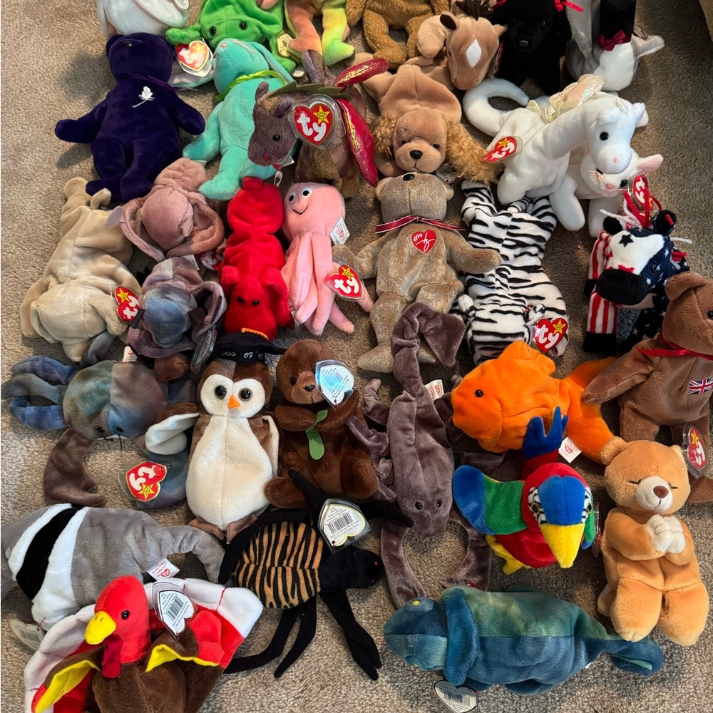 TY Beanie Babies Plush Toy Collection